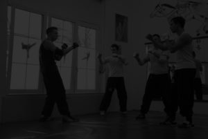 Probetraining vereinbaren